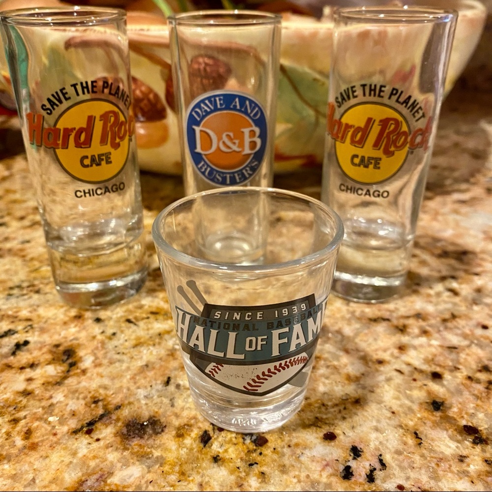 Bundle of 4 Collectible Shot Glasses